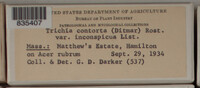 Image Associated With the Occurence